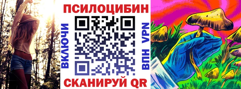 Псилоцибиновые грибы мицелий  Гагарин 